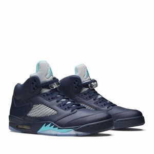Jordan 5 Pre Grape
